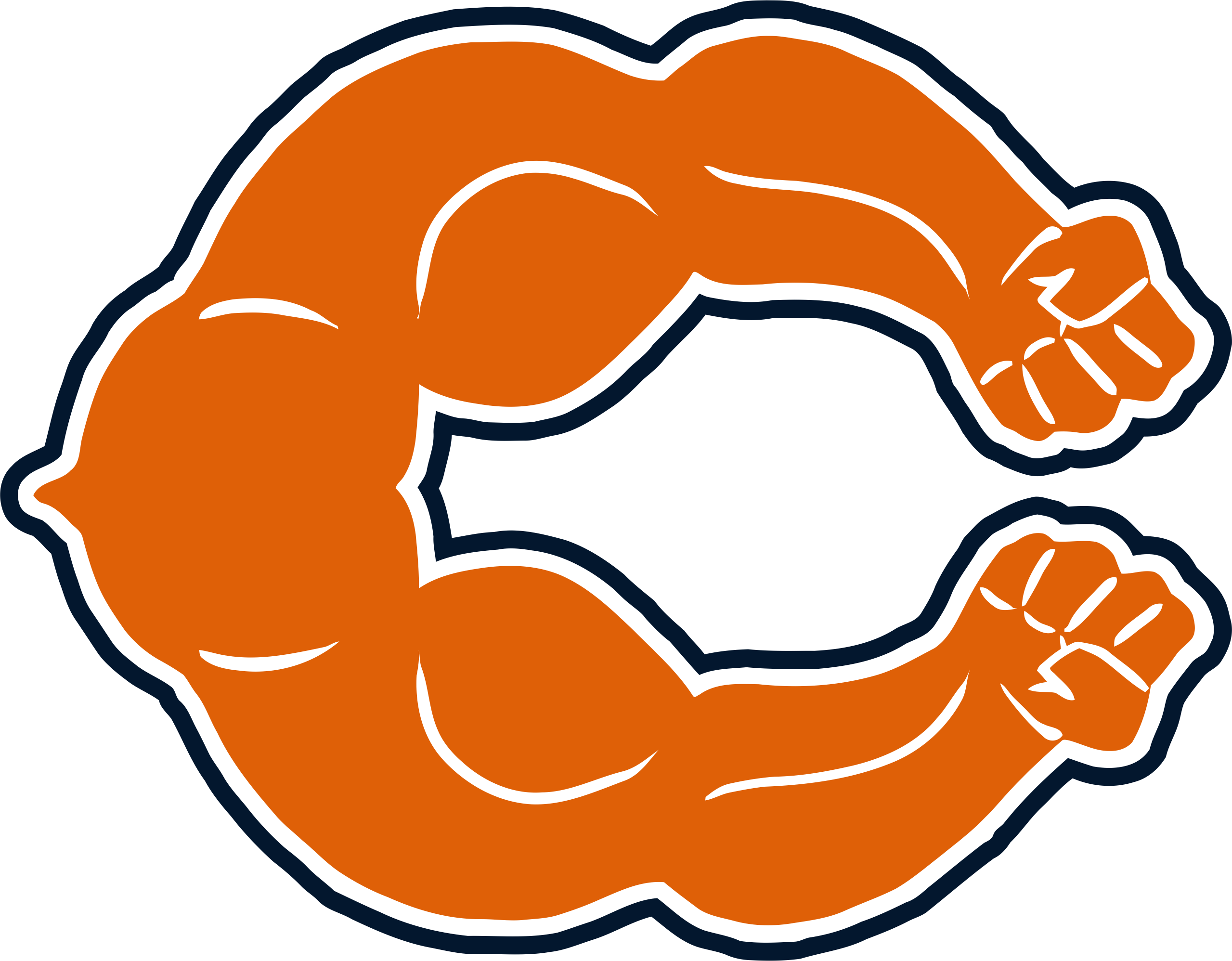 Chicago Bears Steroids Logo DIY iron on transfer (heat transfer)